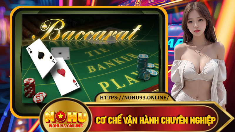 Cơ chế vận hành chuyên nghiệp giúp Nohu93 tạo nên khác biệt