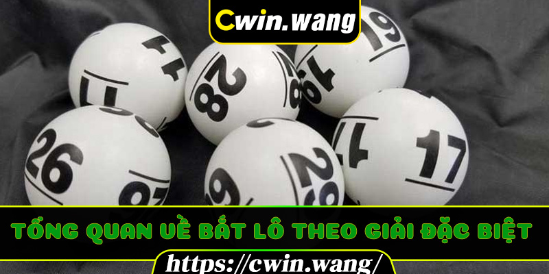 Tổng quan về Bắt Lô Theo Giải Đặc Biệt